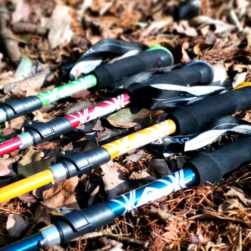 5 Section Outdoor Fold Trekkin - Trekking Pole Carbon review and price