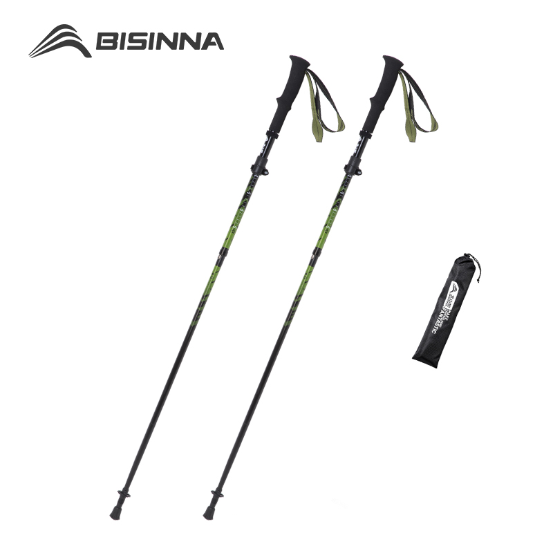 BISINNA Carbon Fiber Trekking  - Trekking Pole Carbon review and price