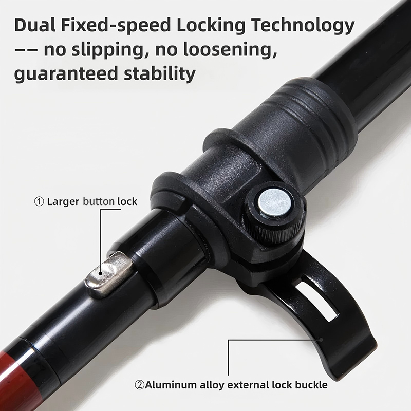 BISINNA Carbon Fiber Trekking  - Trekking Pole Carbon review and price