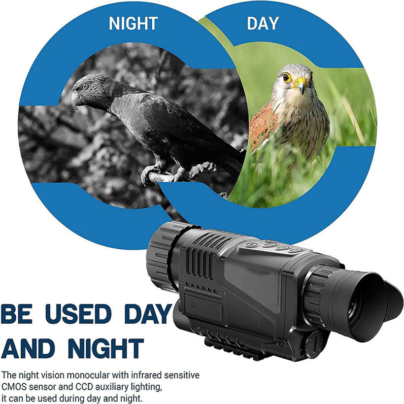 Low Light Night Vision Hunting - Outdoor Adventure Video review and price