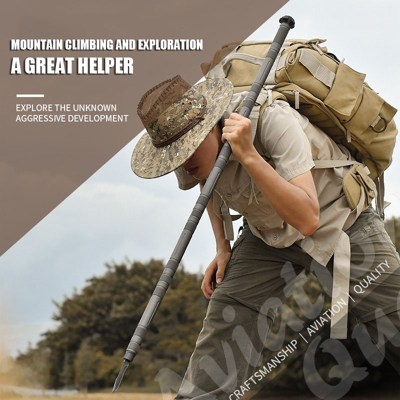 CEOI GWOK Lightweight Trekking - Trekking Pole Carbon review and price