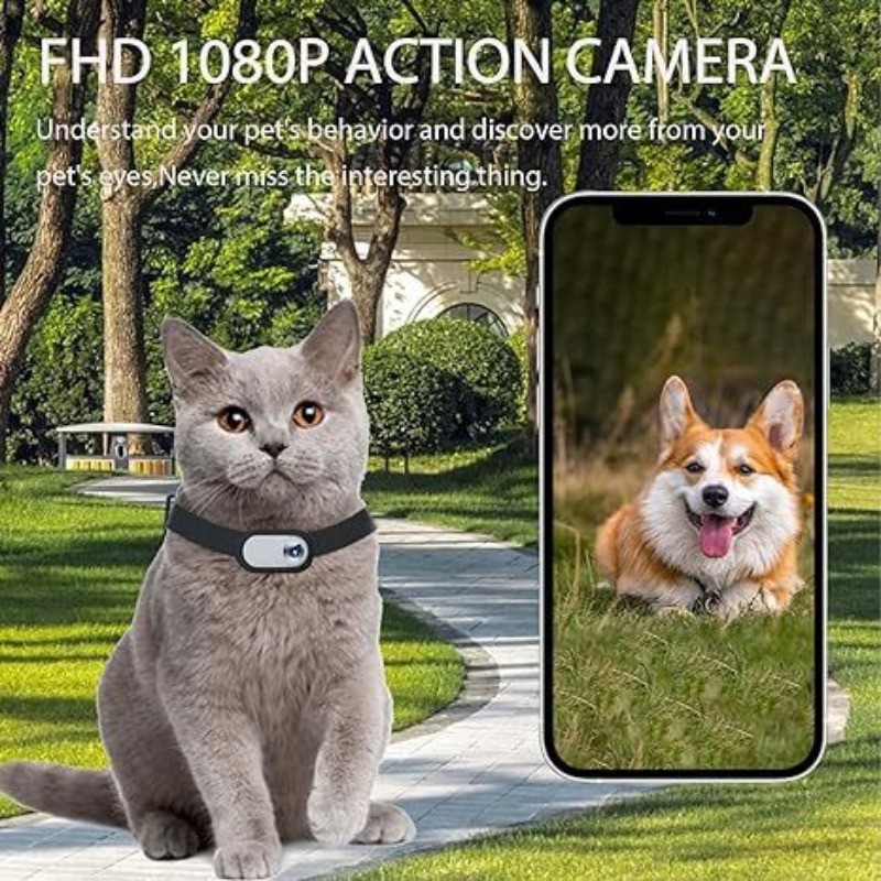 Pet Collar Camera-Waterproof H - Outdoor Adventure Video review and price